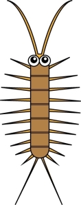 centipede_a09