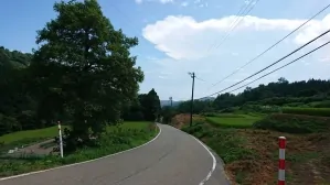 1566447734868
