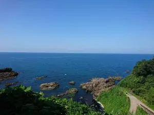 DSC_2684-1