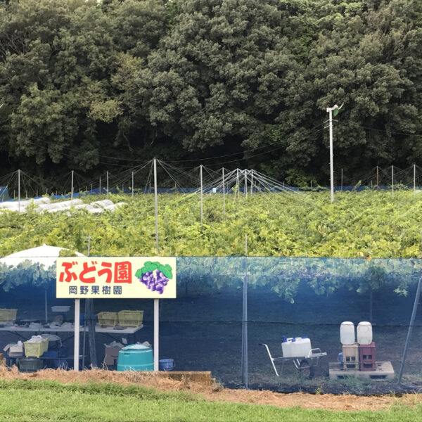 オータムキャンプのご報告 画像