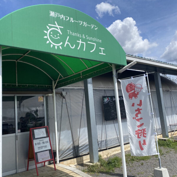 いちご狩り＆陶芸の旅 画像