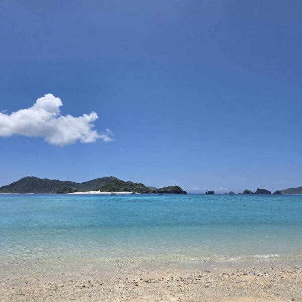 「海水浴 in 座間味島」の様子 画像