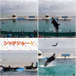 72A41448-AB4F-4CCB-82E9-065DDF993FDF