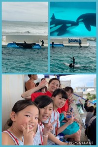959B2BDB-E692-42AA-9554-4F4BD939D60D