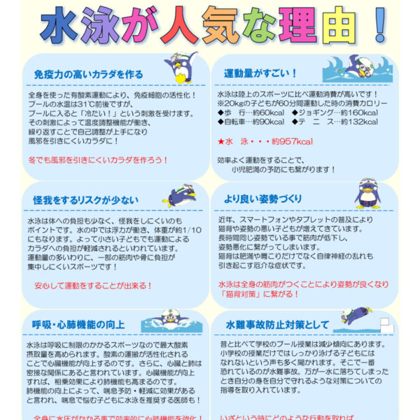 🏊‍♂️【習い事は水泳?!】子どもの習い事人気な理由🏊‍♀️ 画像