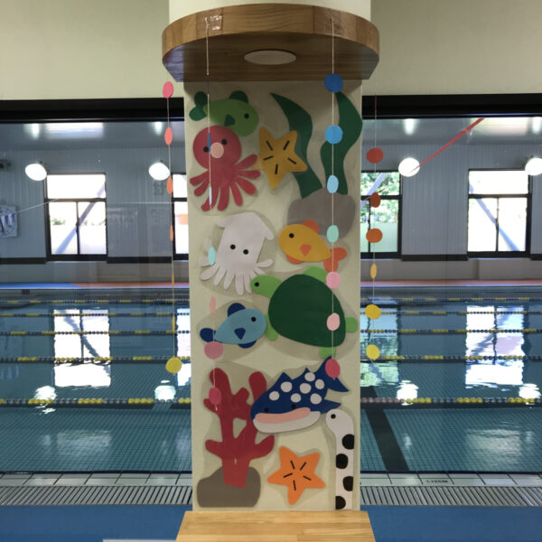 🪸🐳まるで水族館！？🐳🪸 画像