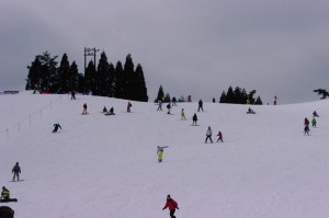 14higaeri1