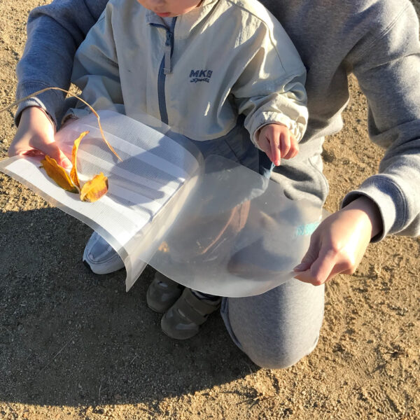 11月の療育の様子 画像