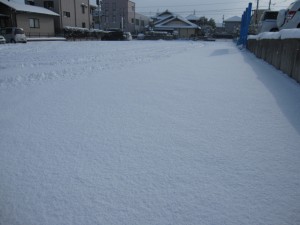 IMG_7890