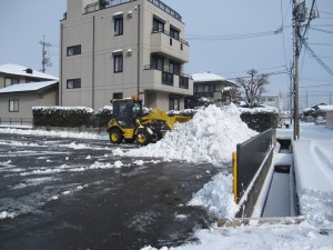 IMG_7901