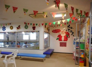 DSCN0208