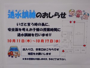 DSCN4559