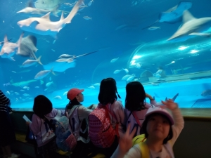 20190421_104209