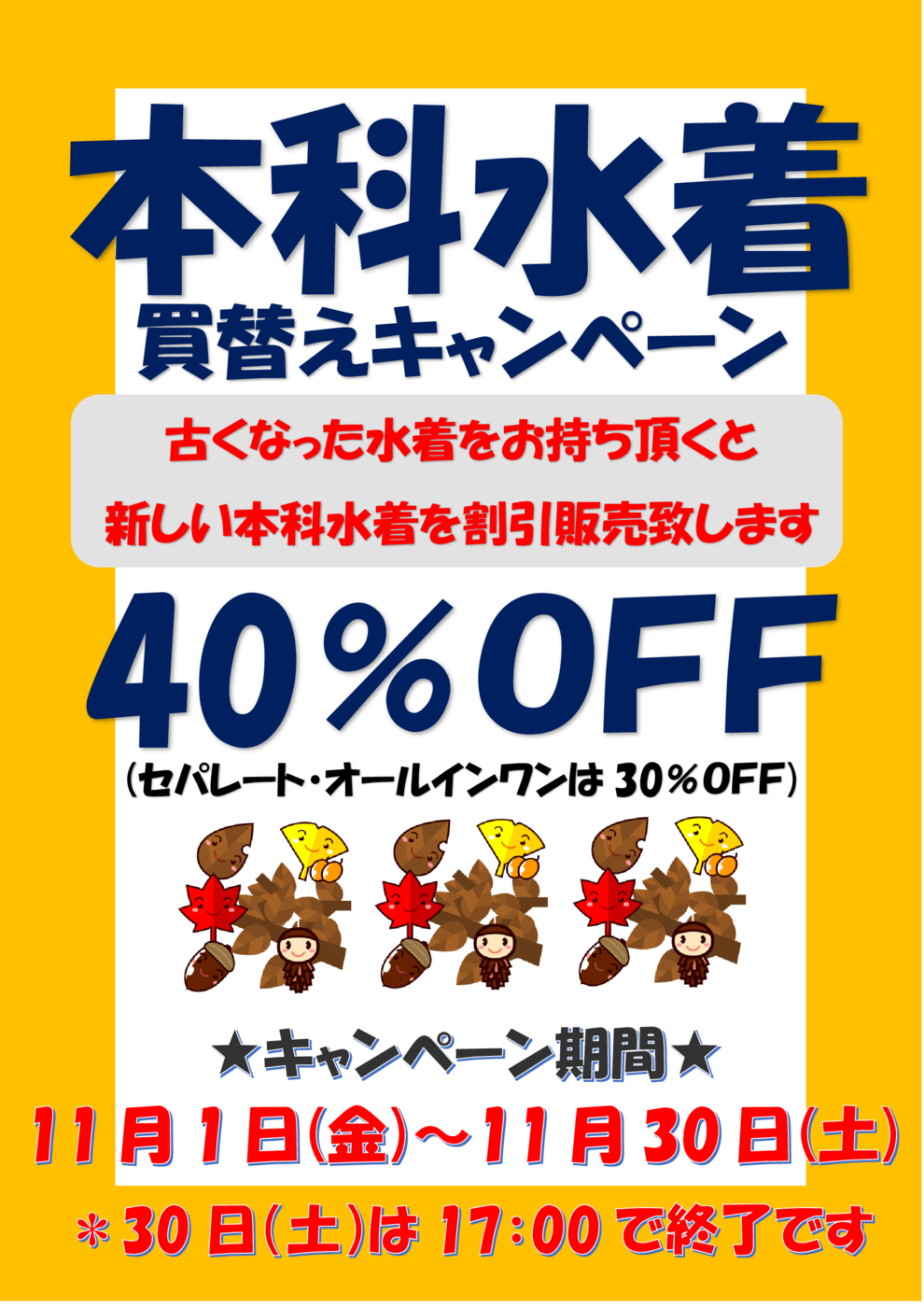 11月落ち葉