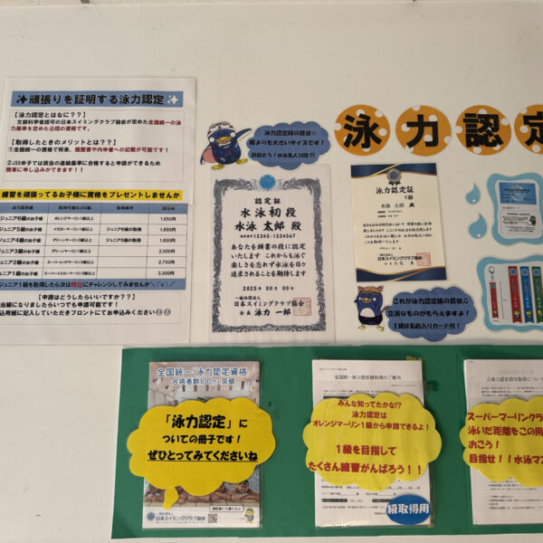 頑張りを証明する【泳力認定】 画像