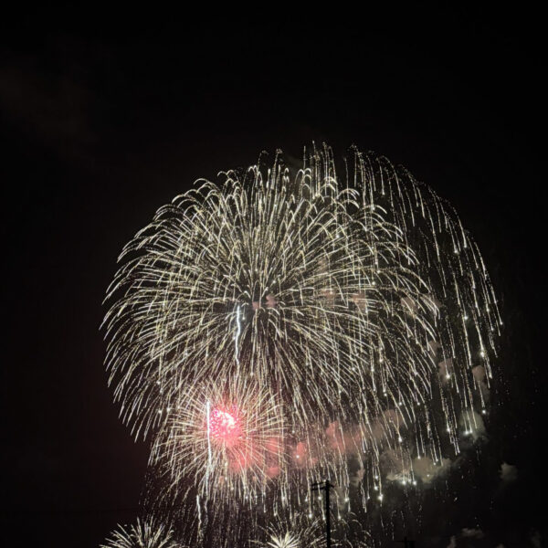 花火だー！！ 画像